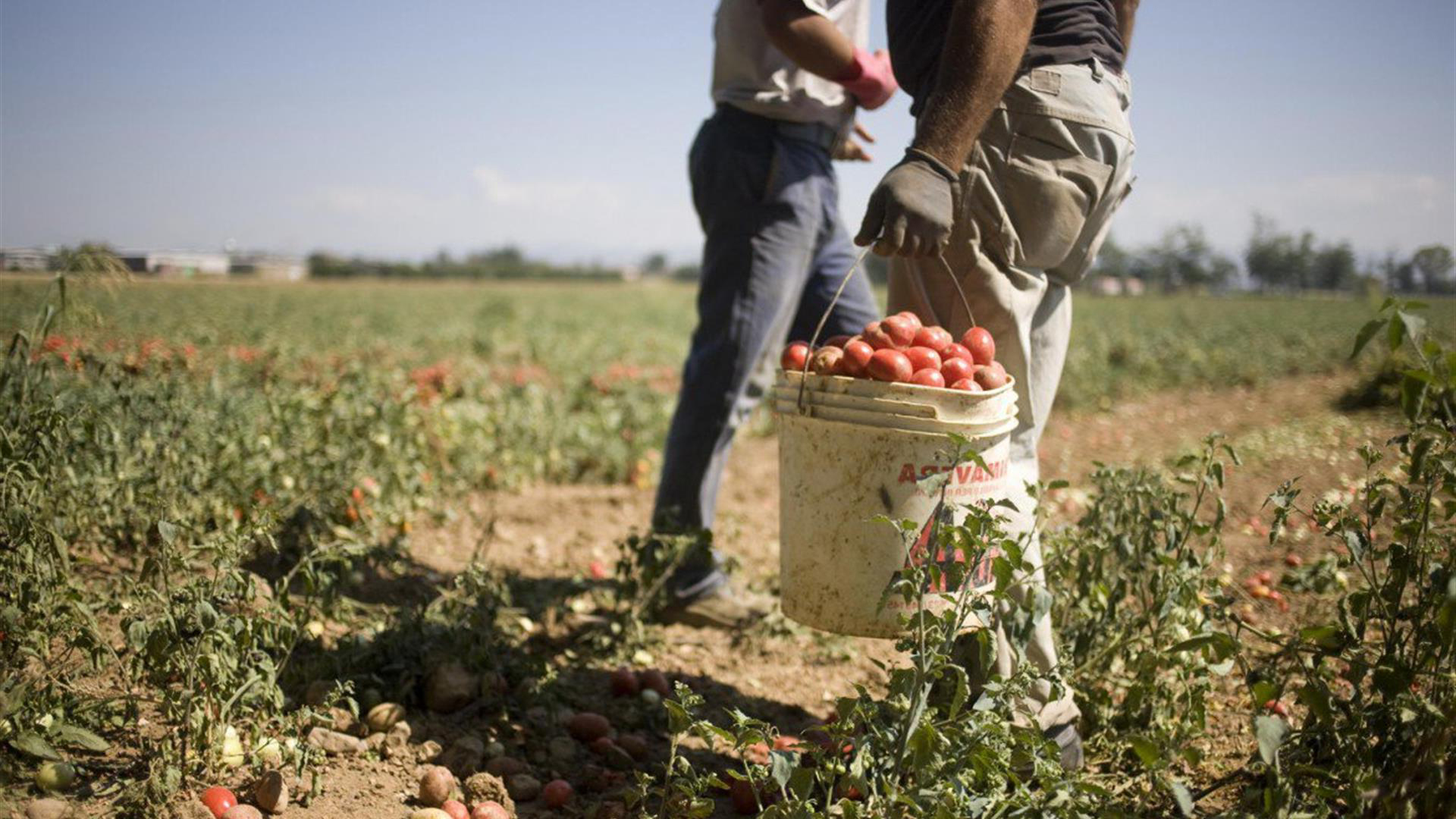 Accoglienza dei lavoratori stagionali, al via le manifestazioni di interesse