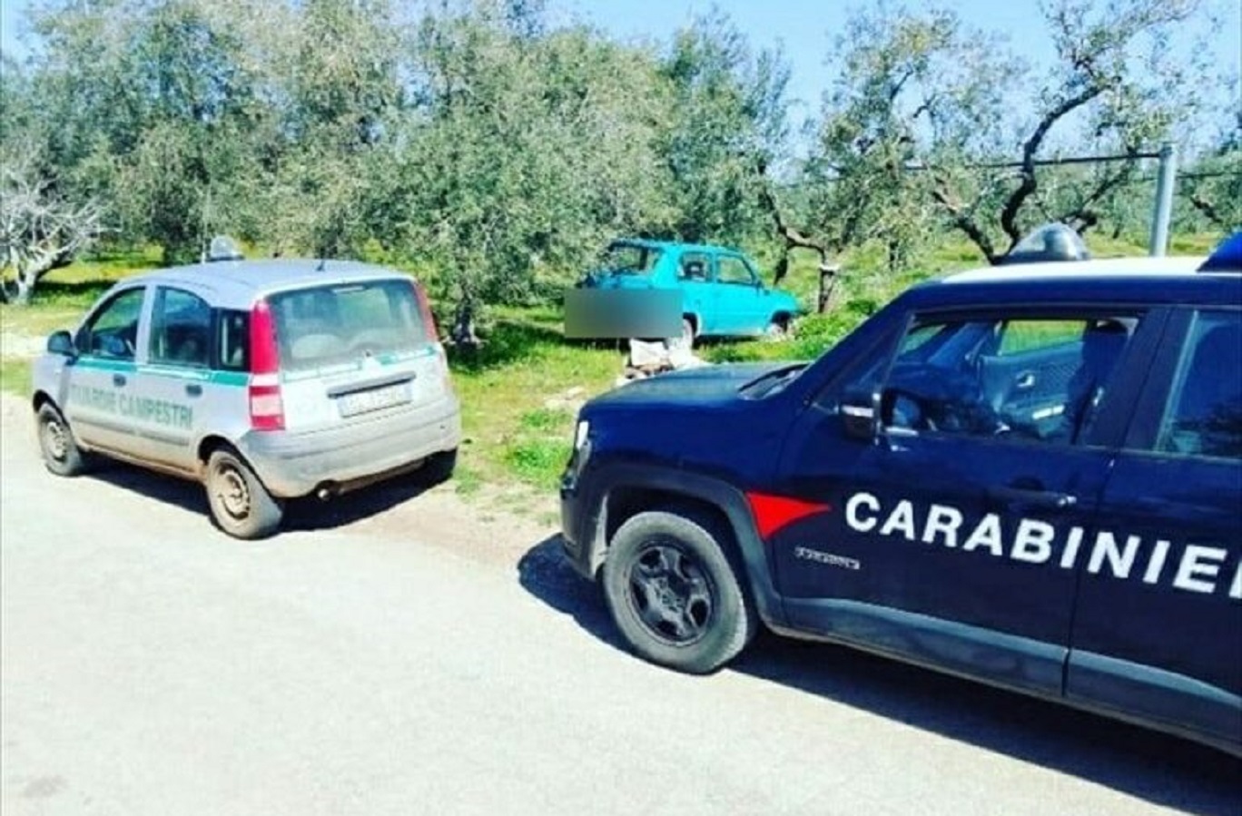 Giro di vite contro i predoni delle campagne, l’amministrazione lavora a una task-force