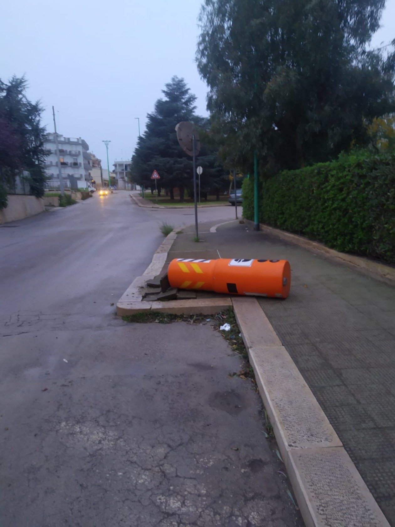 Abbattuto un Velo Ok in via Giovinazzo