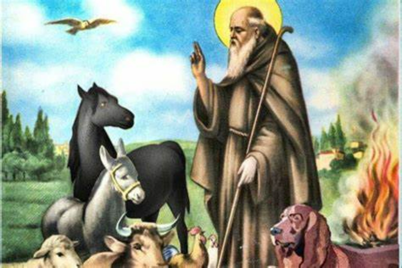 Sant’Antonio Abate: la benedizione degli animali e il contest per bambini dell’Enpa Terlizzi