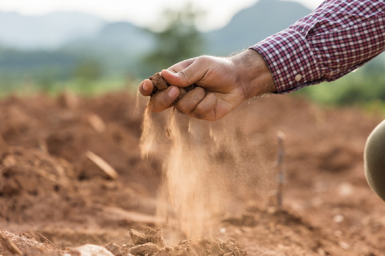Caldo: Coldiretti Puglia, sos semine in terreni acidi per siccità
