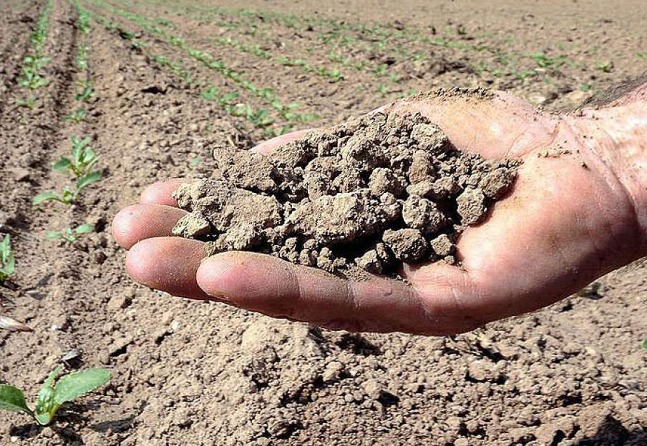 Siccità: arrivano gli aiuti per le imprese agricole terlizzesi danneggiate
