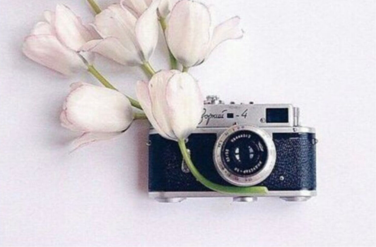 A Terlizzi corsi di fotografia, floricoltura e orticoltura gratuiti