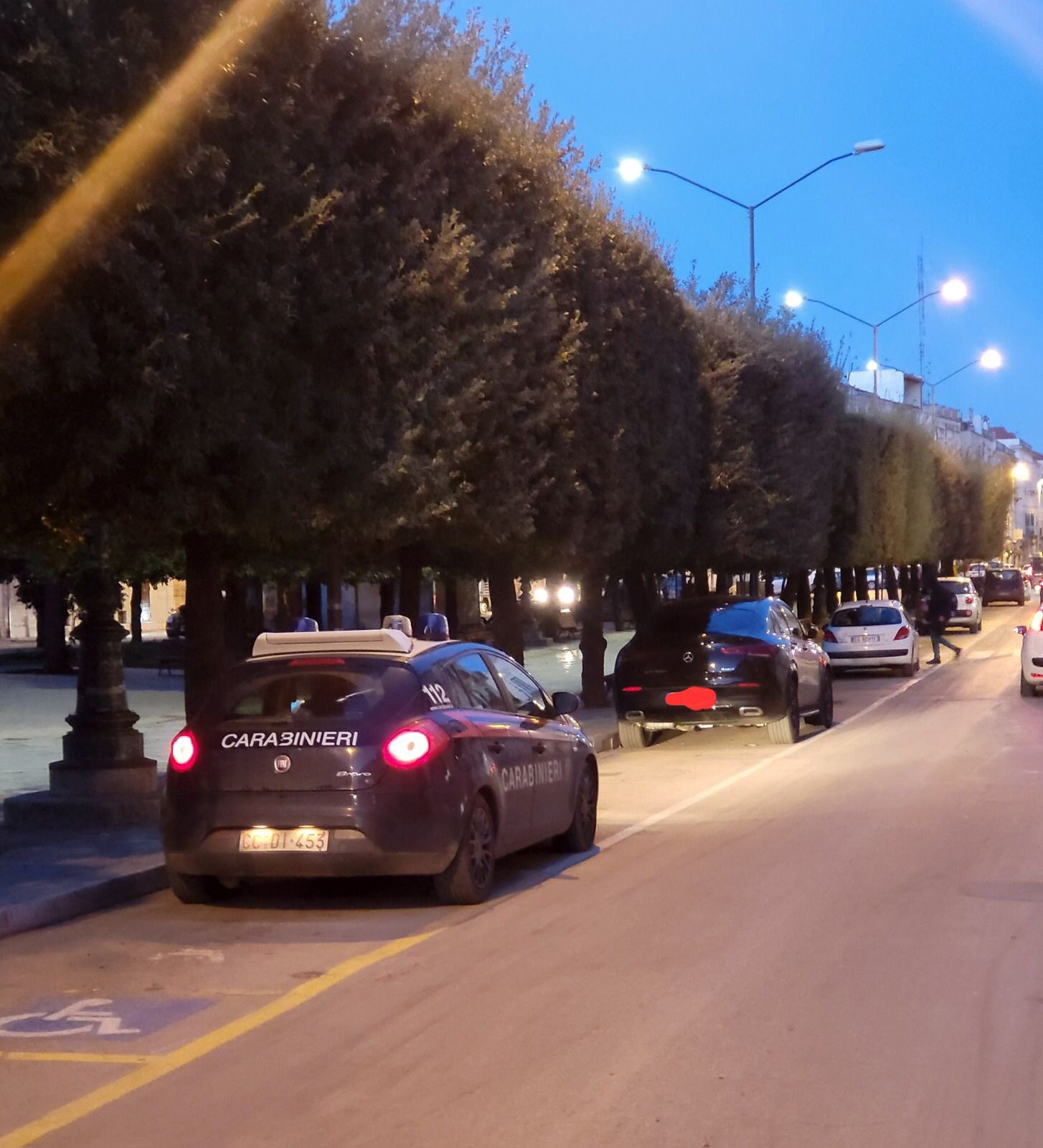 Terlizzi, furto d’auto sventato in villa