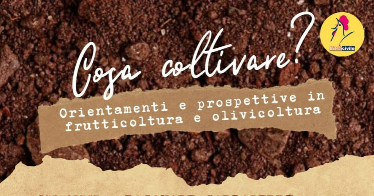 “Cosa coltivare?”: questa sera a Terlizzi si discute di frutticoltura e olivicoltura