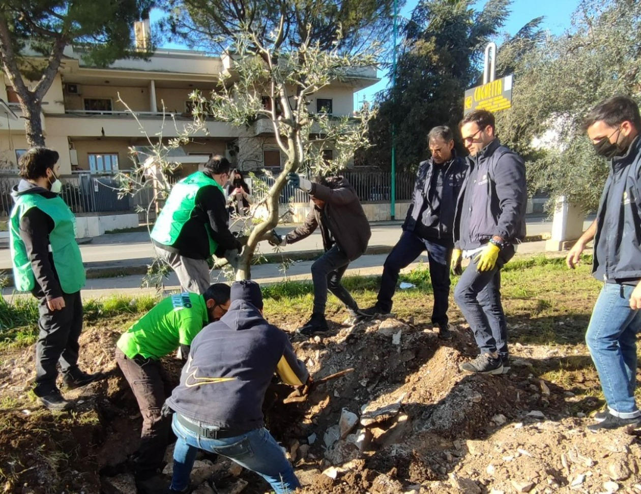 Puliamo Terlizzi: 33 nuovi alberi ai nati nel nuovo parco “Mahsa Amini”