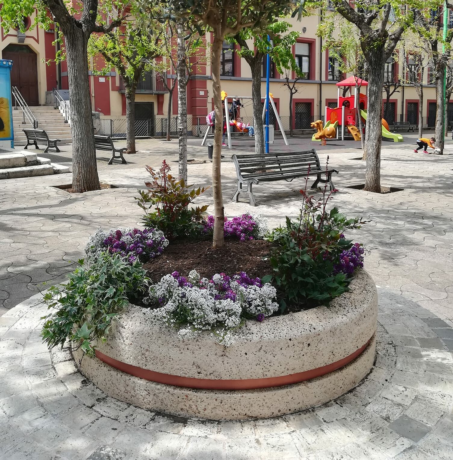 A Terlizzi si coltiva bellezza: il nuovo allestimento delle fioriere presenti in paese