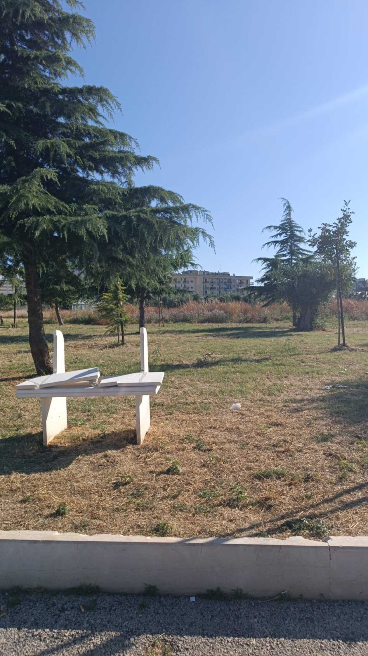 Distrutta la panca in pietra di Parco Mahsa Amini. Puliamo Terlizzi: “Ricuciremo i cocci come sempre”