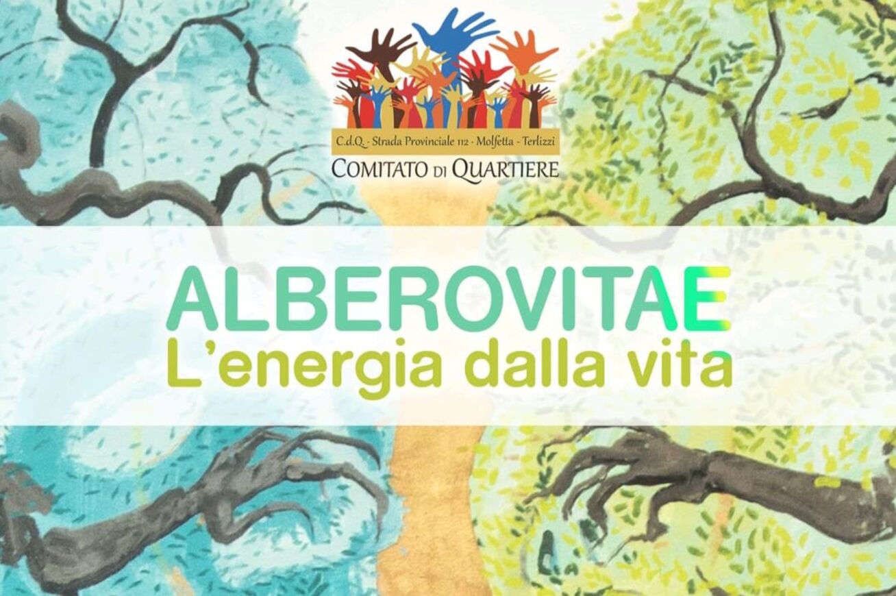 “Alberovitae”: un’opera di street art che celebra ed unisce le nostre terre