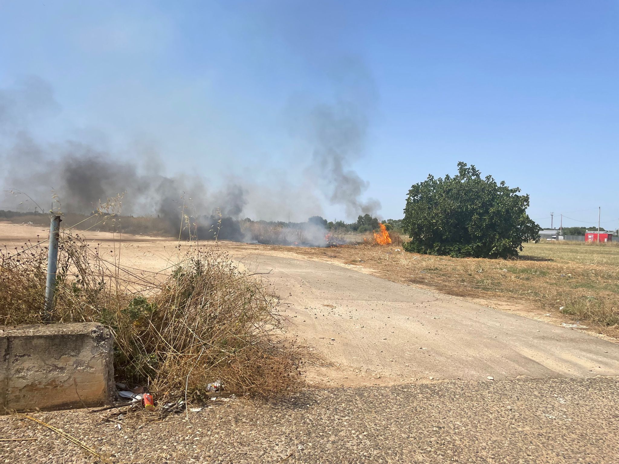 Terlizzi, incendio doloso in viale dei Lilium