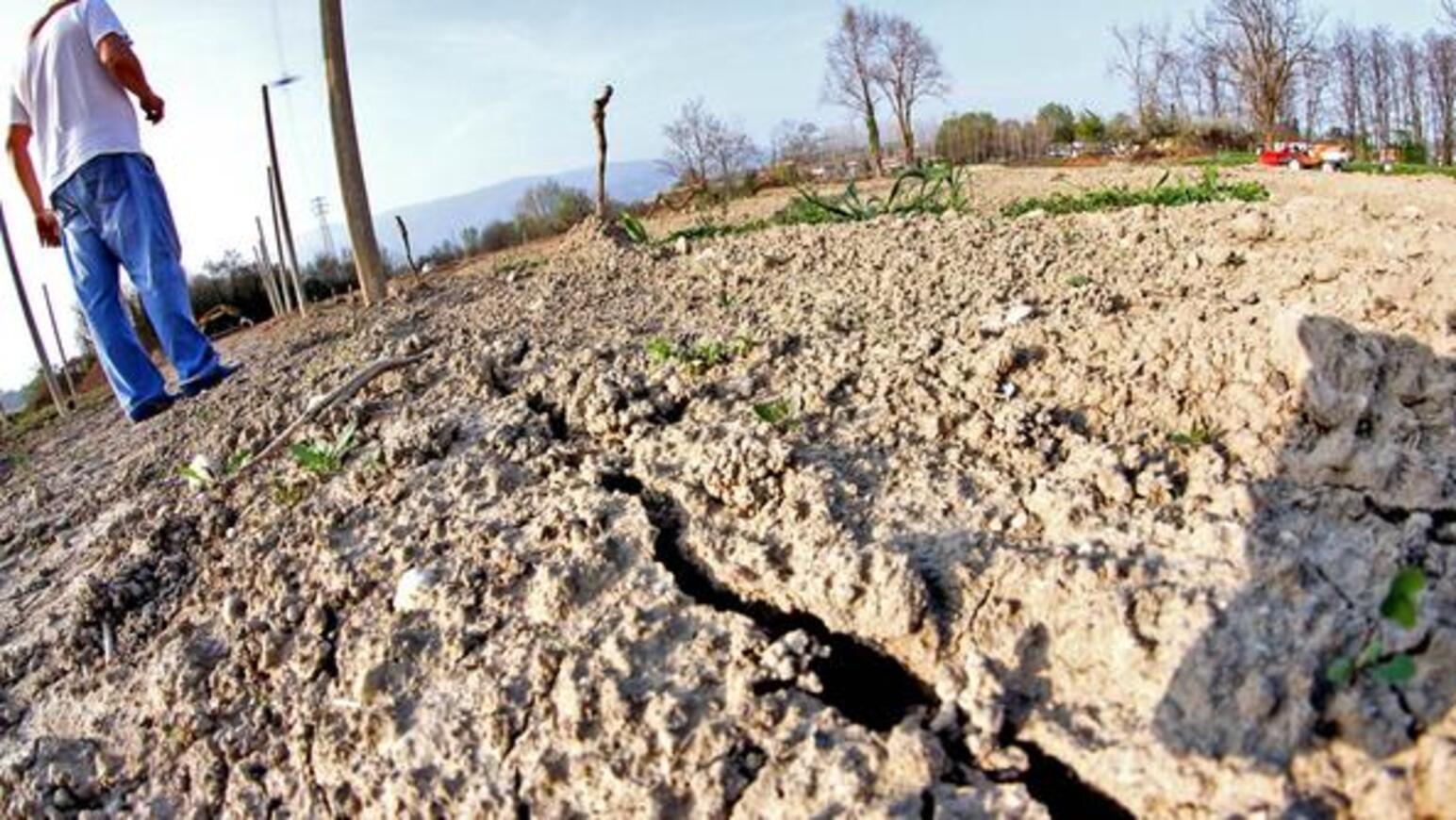 Domande aiuti relativi alla siccità 2022: arrivati i fondi al comune di Terlizzi