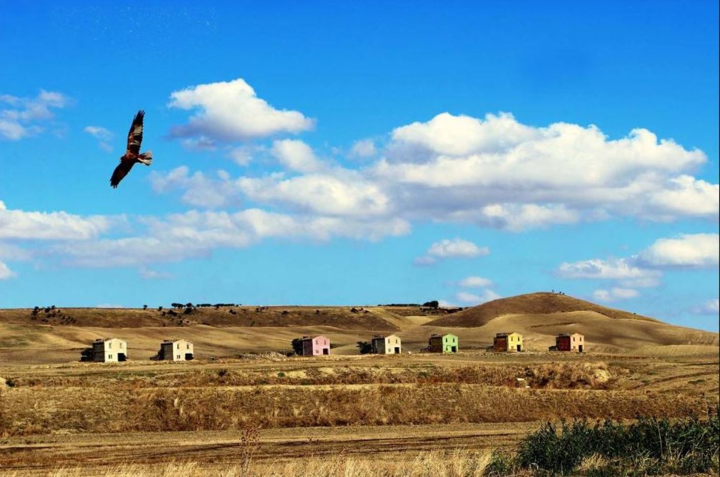 Fotogrammi della Puglia rurale, tutte le info per partecipare al concorso fotografico
