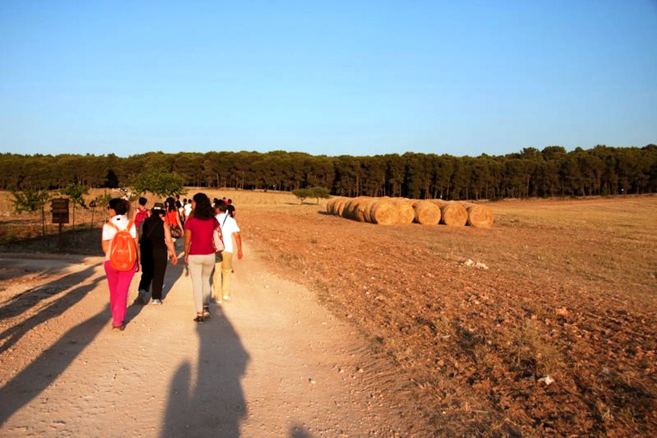 Ferragosto in natura sui sentieri del Parco nazionale dell’Alta Murgia