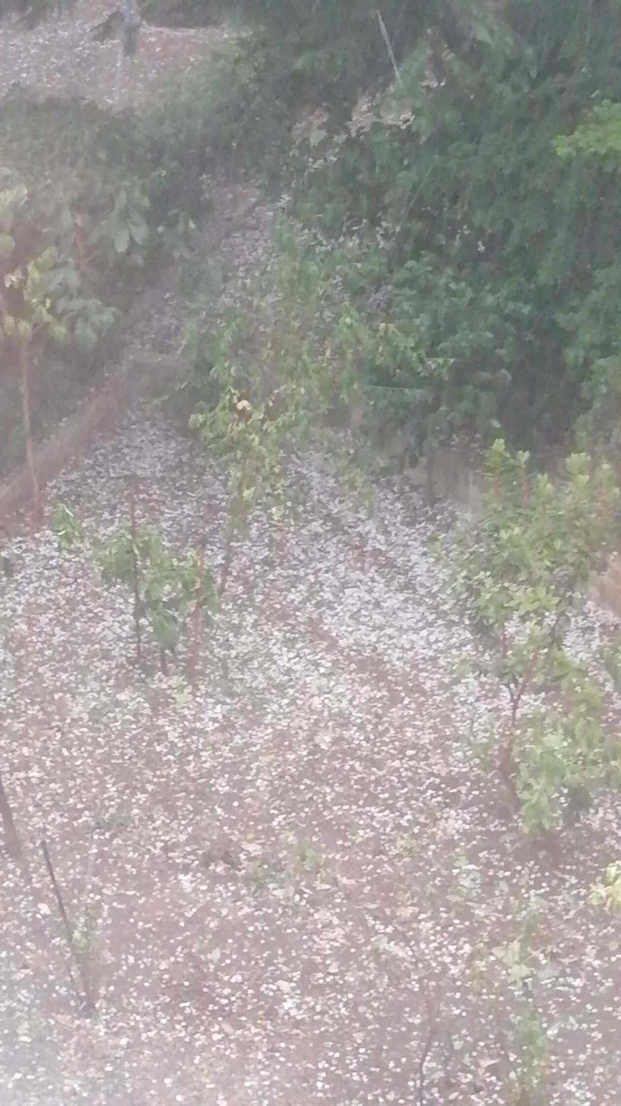Violenta grandinata a Terlizzi