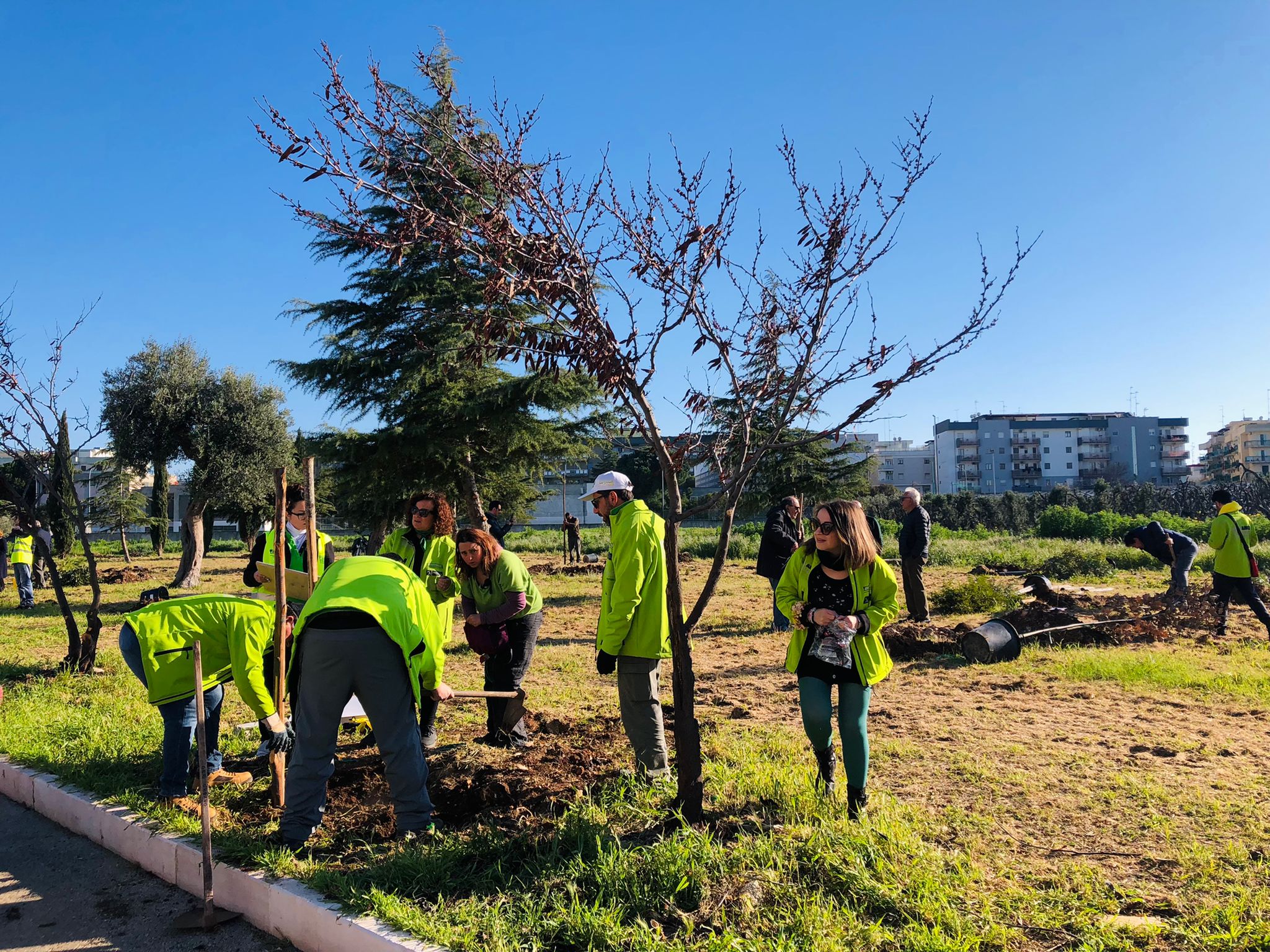 “Un albero a chi vuoi tu”: intervento di riforestazione urbana in viale Italia