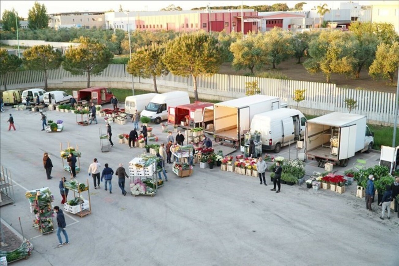 Festività di “tutti i Santi” e commemorazione dei defunti: le aperture straordinarie per il Mercato dei Fiori