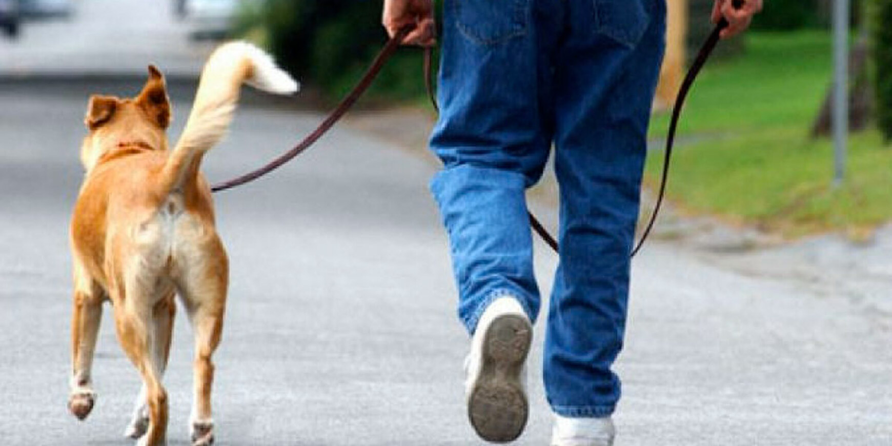 Intensificati i controlli contro l’abbandono delle deiezioni canine