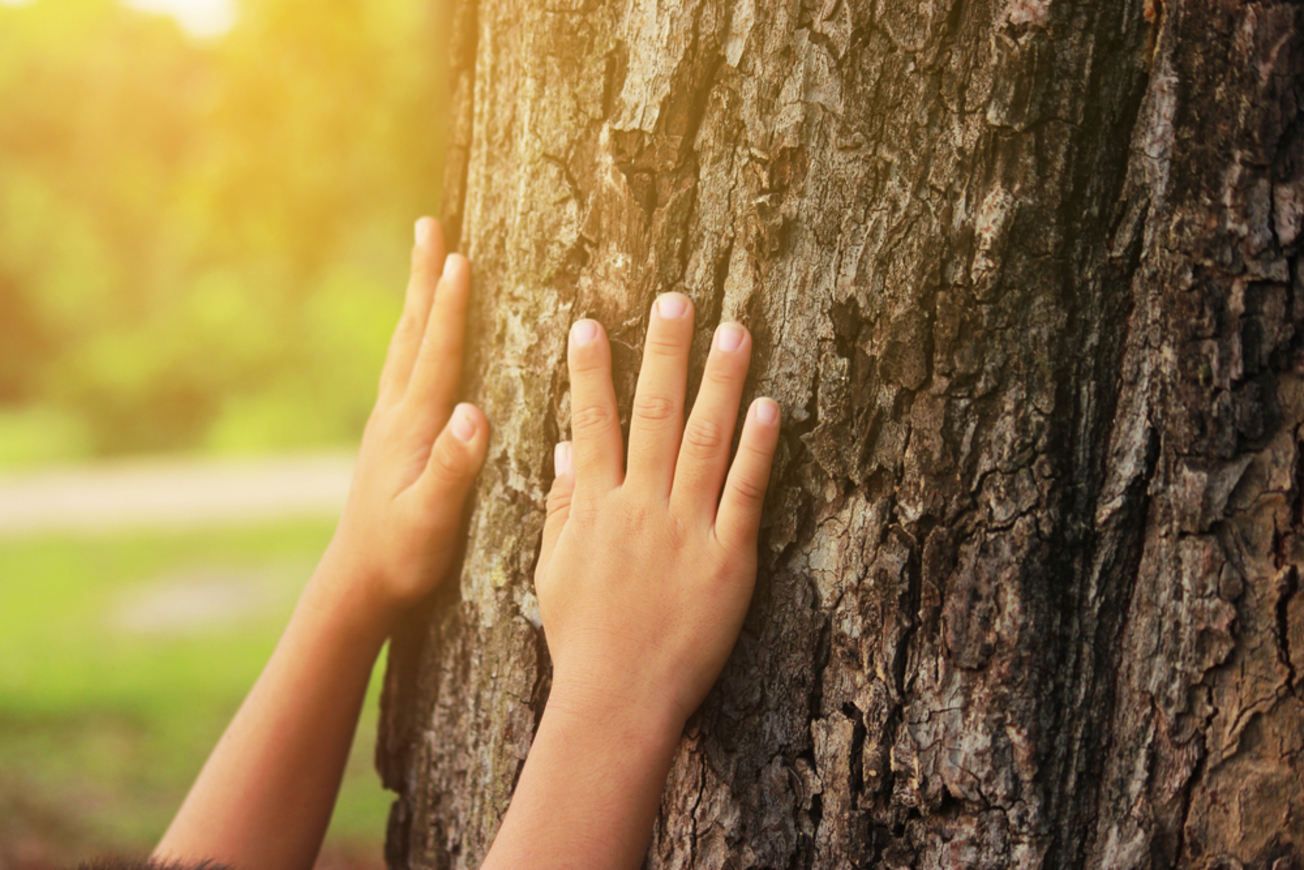 Giornata Nazionale dell’Albero in ricordo dei terlizzesi venuti a mancare per la pandemia