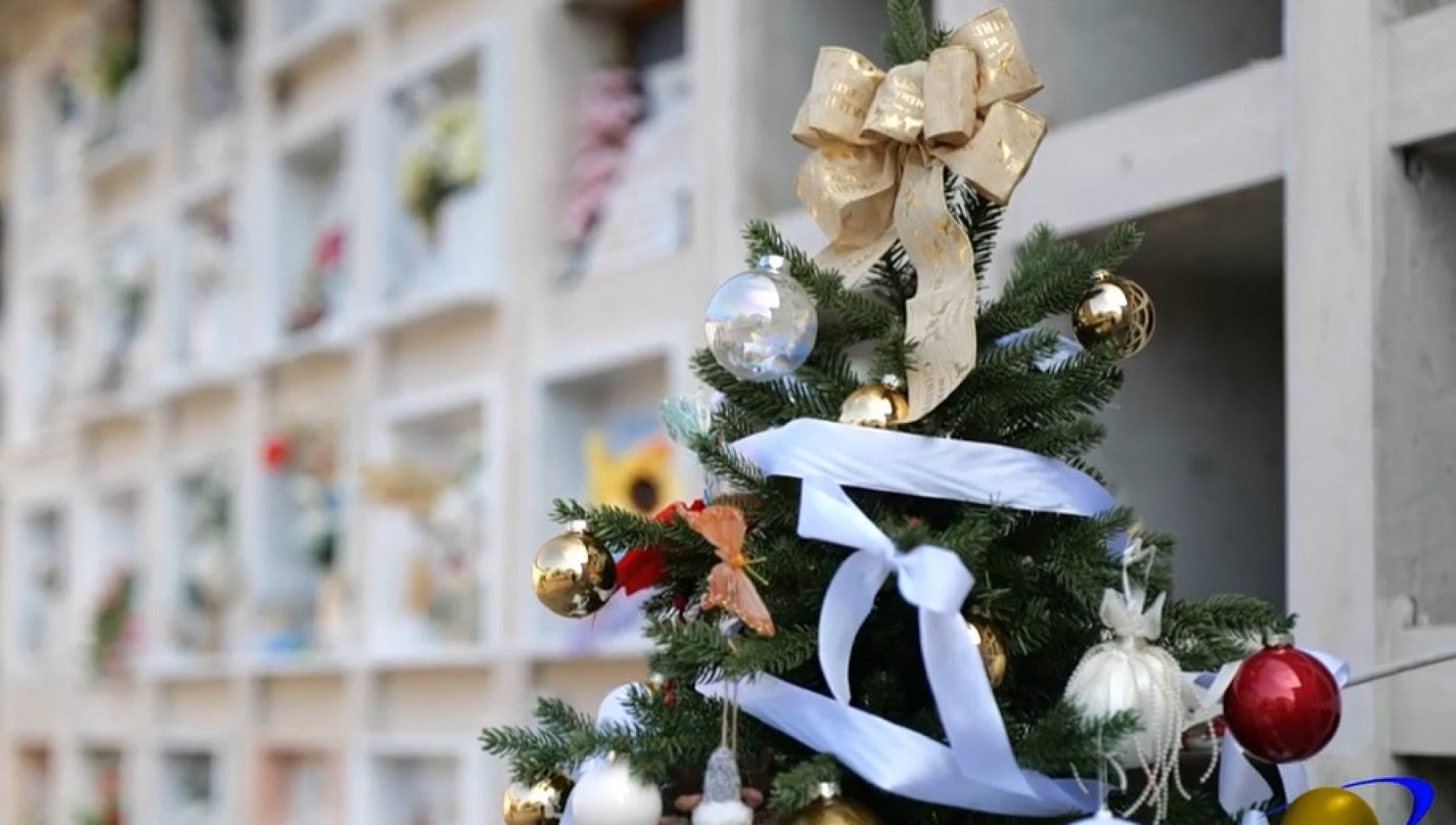 “Alberi di Natale della Solidarietà”: l’iniziativa nel cimitero di Terlizzi
