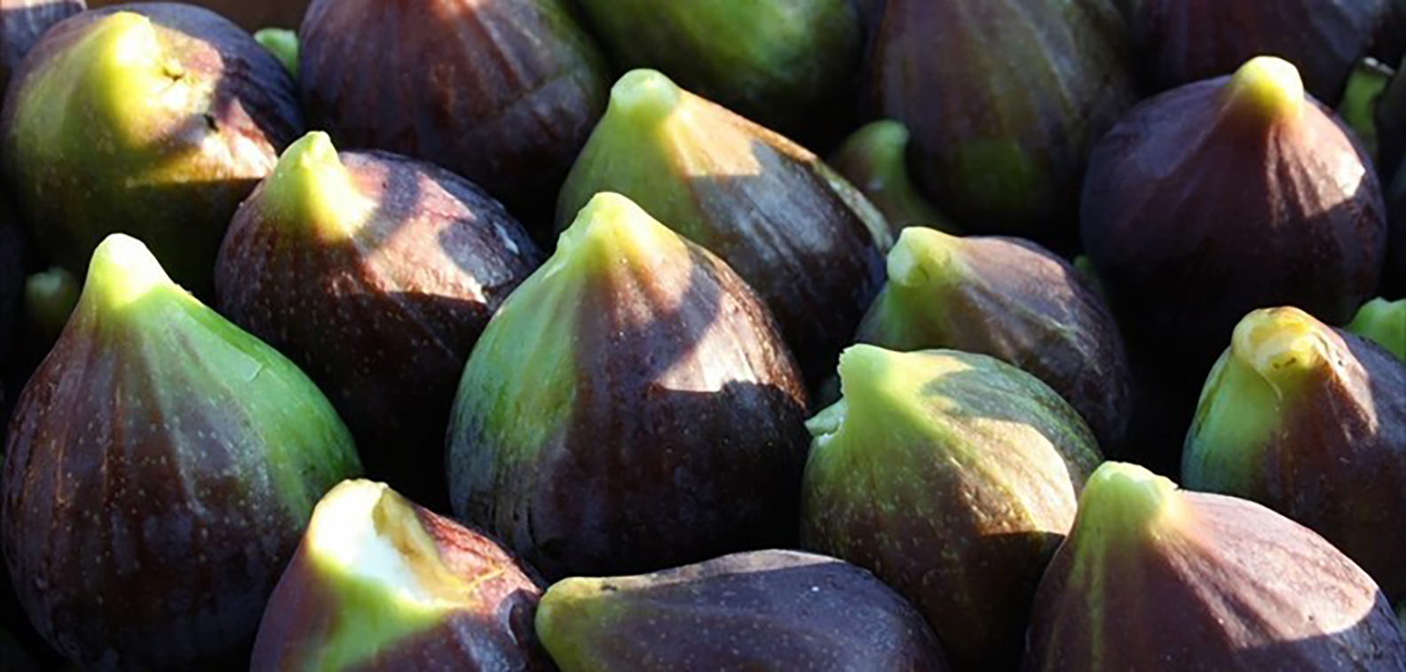 Al via il progetto «Profumi e Sapori» per promuovere i prodotti tradizionali