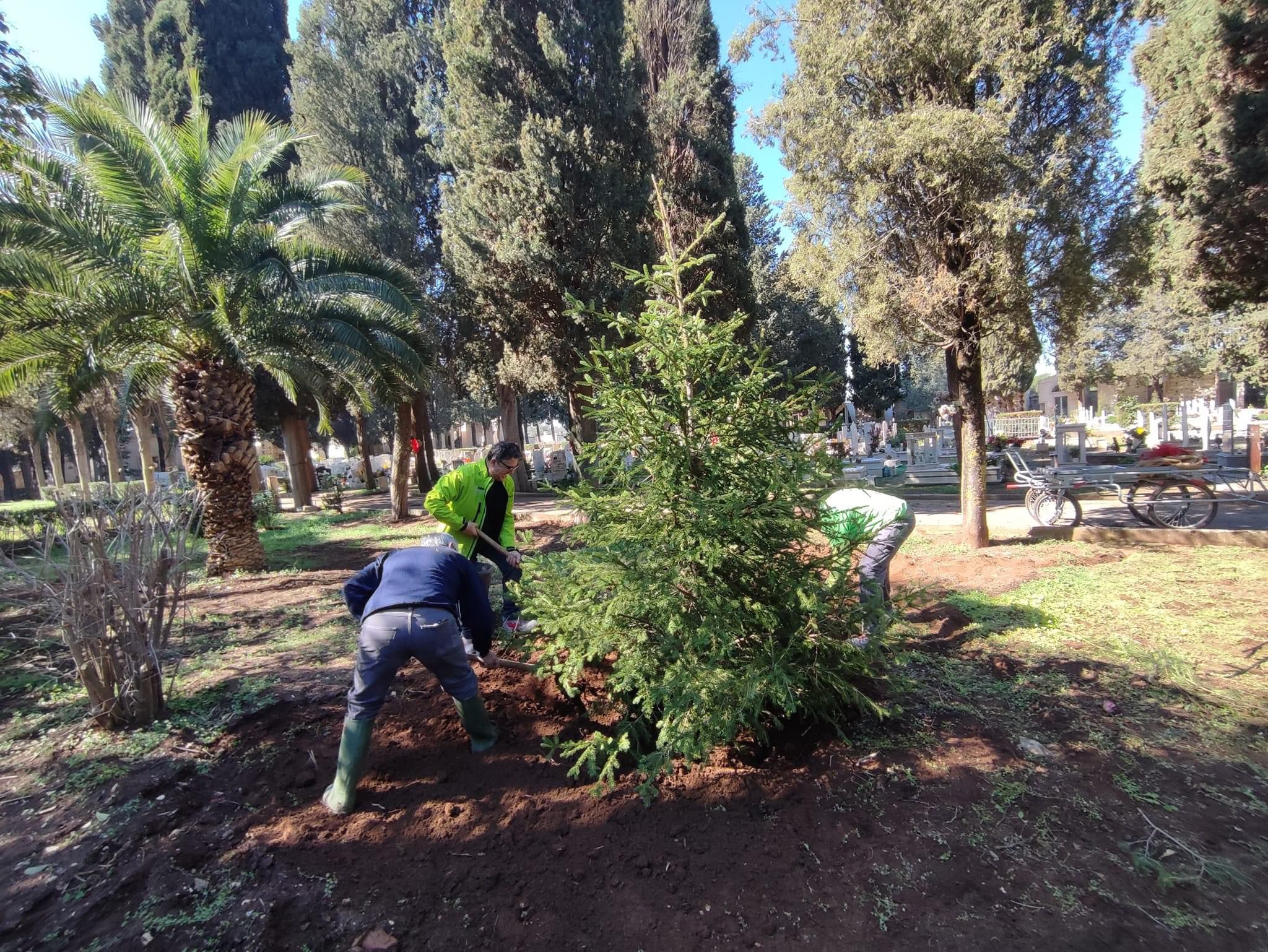 Giornata internazionale delle foreste: due abeti a dimora nel Cimitero comunale di Terlizzi