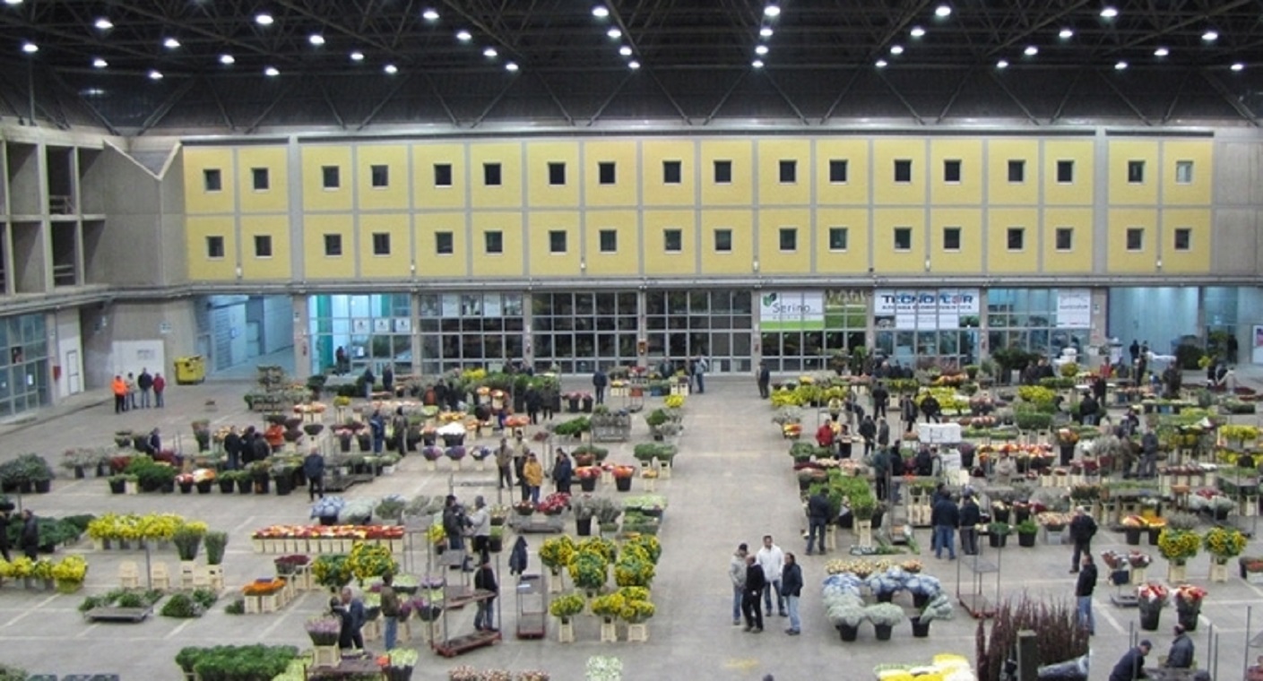 Coldiretti: «Allarme invasione fiori stranieri (+30%); in 10 anni puglia perde 15% produzione»