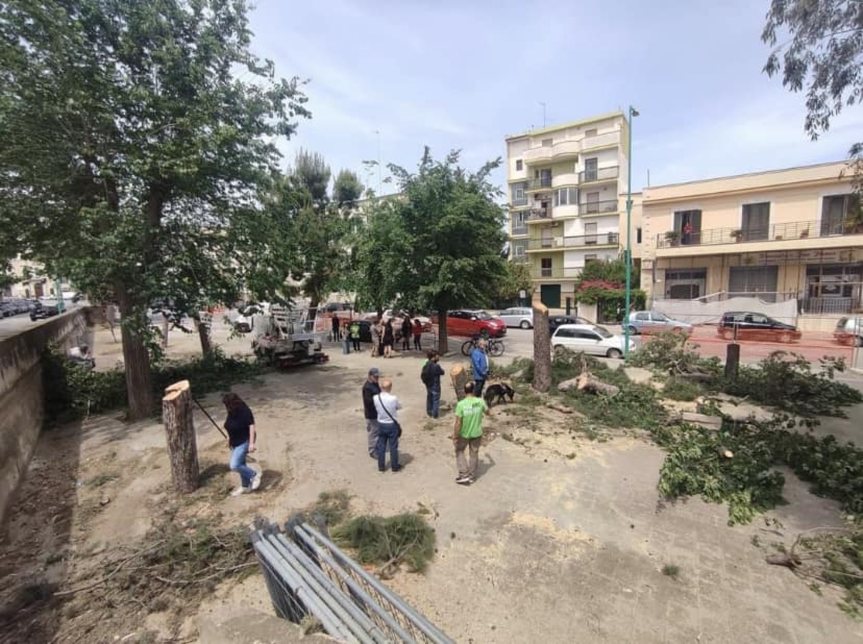 “Errare è umano, perseverare è diabolico”: Legambiente urla il suo no alla mattanza di alberi in viale Roma
