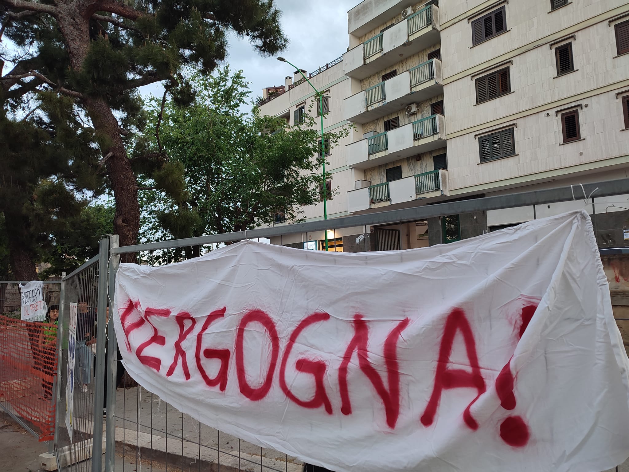 Legambiente Terlizzi: “Mattanza di alberi ingiustificata. Formalizzato istanza di accesso agli atti”