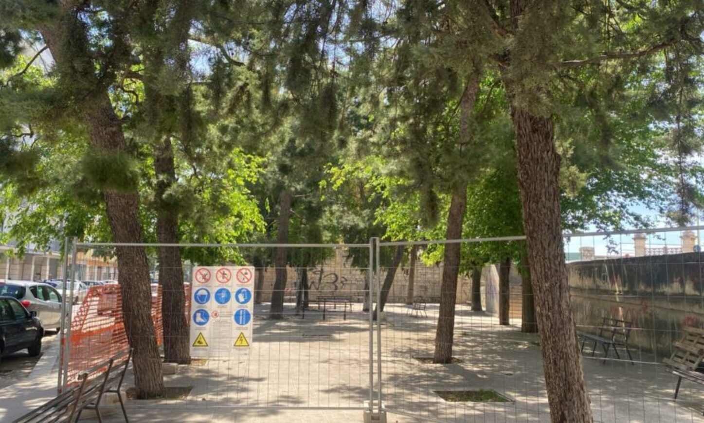 Progetto Pinqua: dagli atti emerge l’abbattimento di quasi 100 alberi