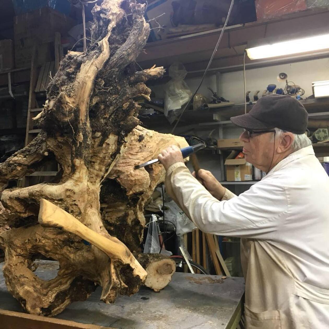 “Volevo piantare semi”: la mostra d’arte di Gioacchino D’Elia