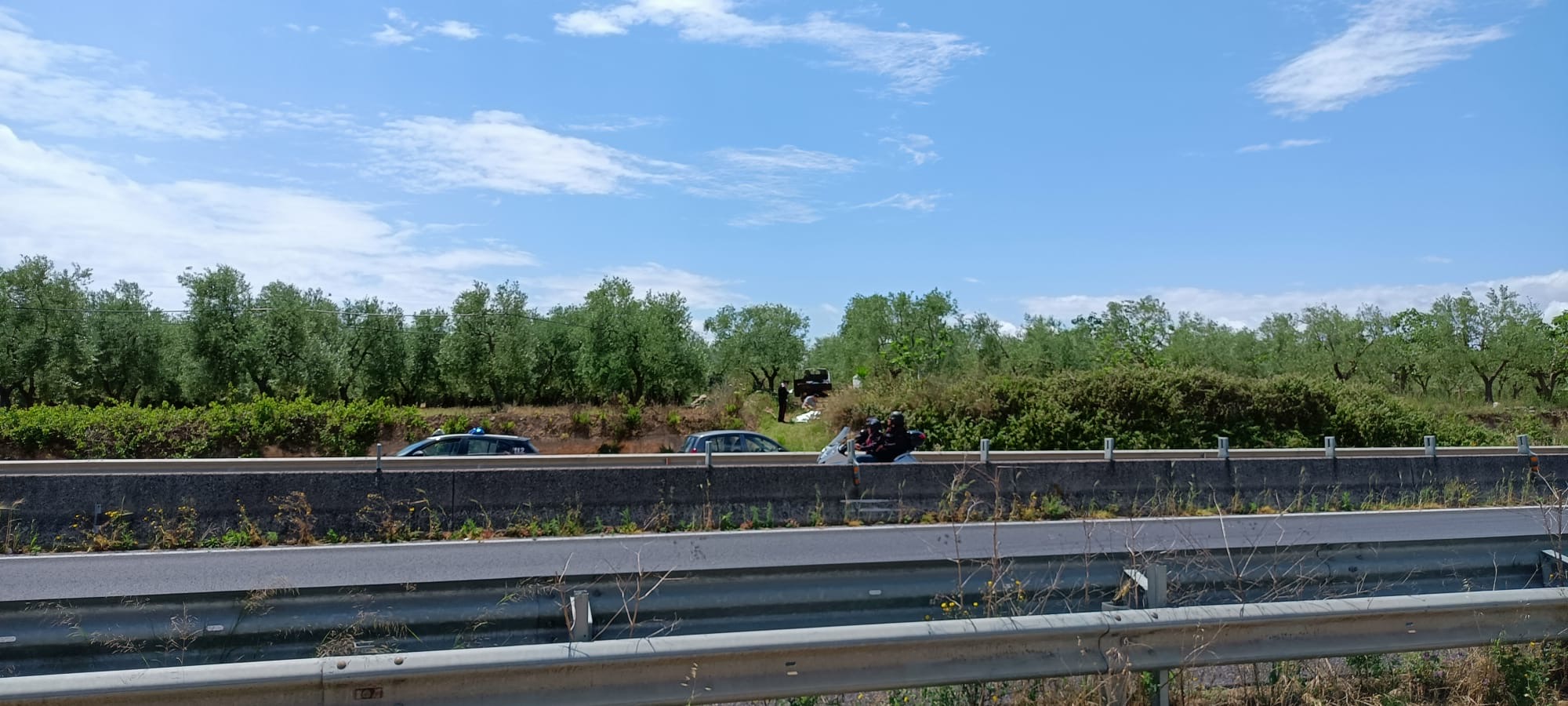 Ritrovato cadavere di un 84enne nelle campagne di Terlizzi