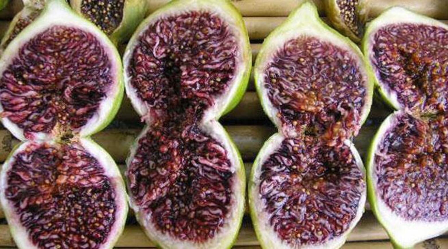 “Fiori e fioroni”: il convegno tecnico