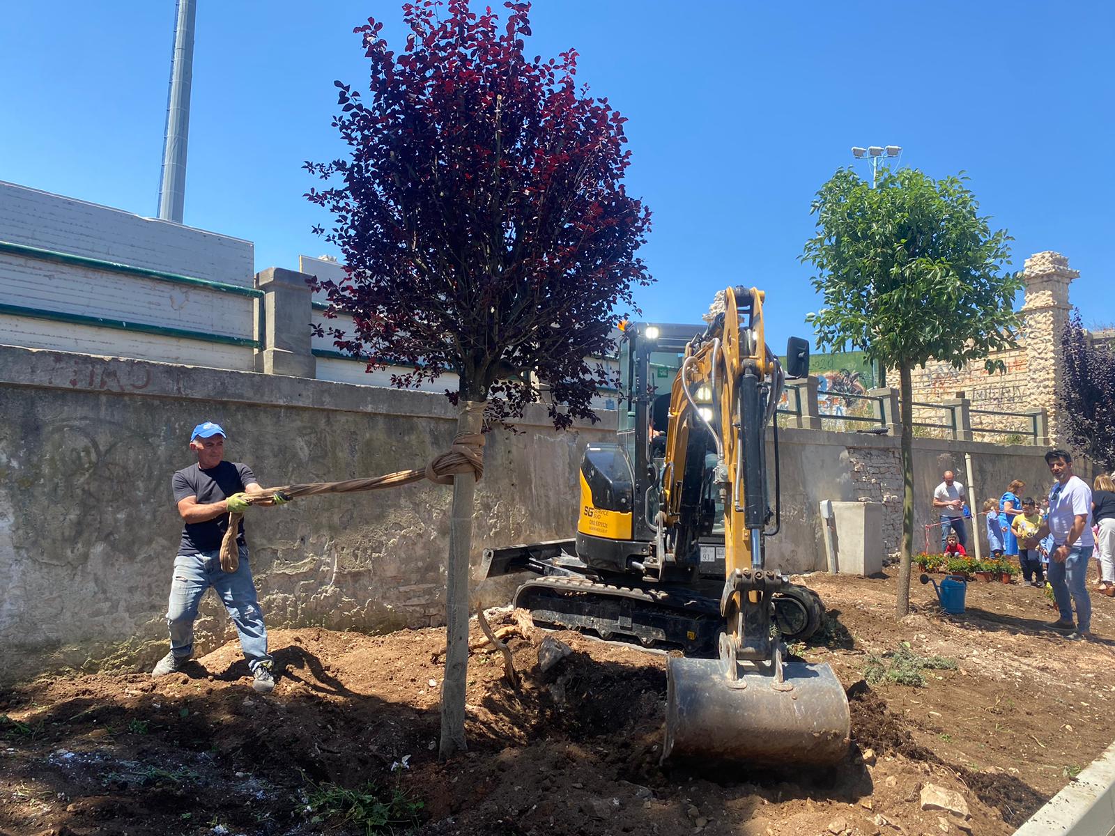 Piantumazione viale Roma, Legambiente: “Occorre gestione efficiente”