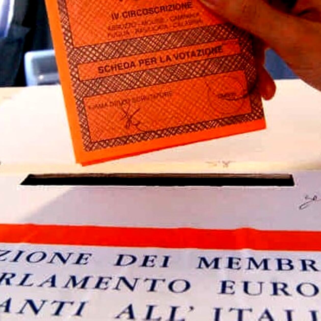Elezioni europee 2024: i dati definitivi a Terlizzi