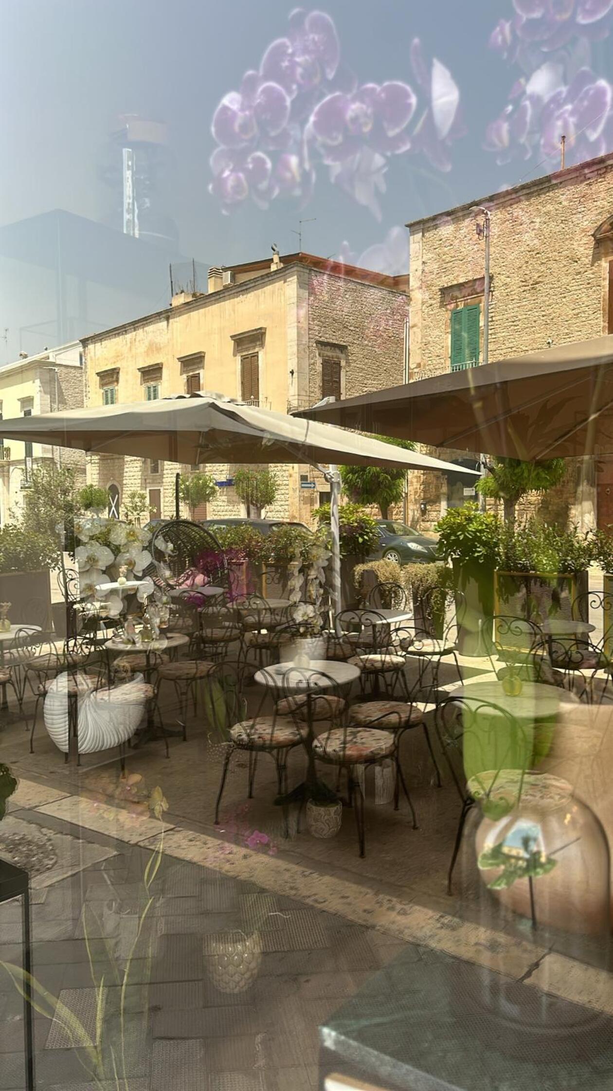 Fioriture urbane:  24 le attività e botteghe che parteciperanno al concorso