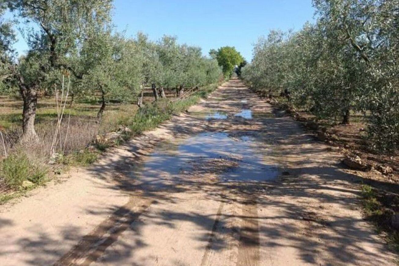 Sistemazione strade rurali: 1 milione di euro per il comune di Terlizzi