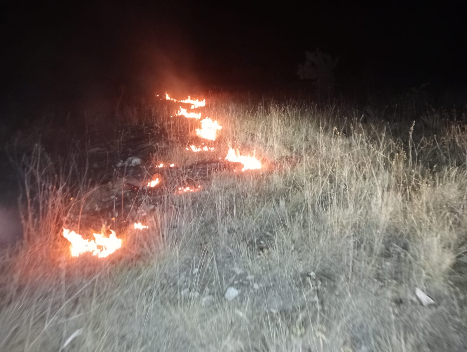 Incendi boschivi, la Regione dichiara lo stato di crisi ed emergenza