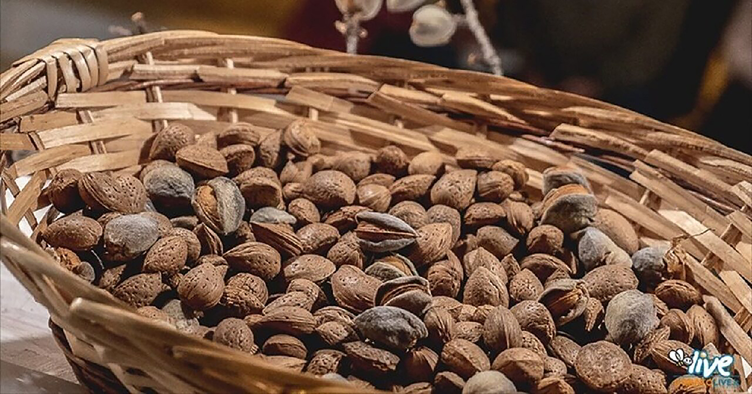 La siccità compromette anche la produzione di mandorle