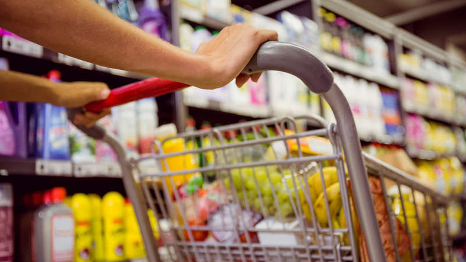 Carta dedicata a te: in arrivo il contributo