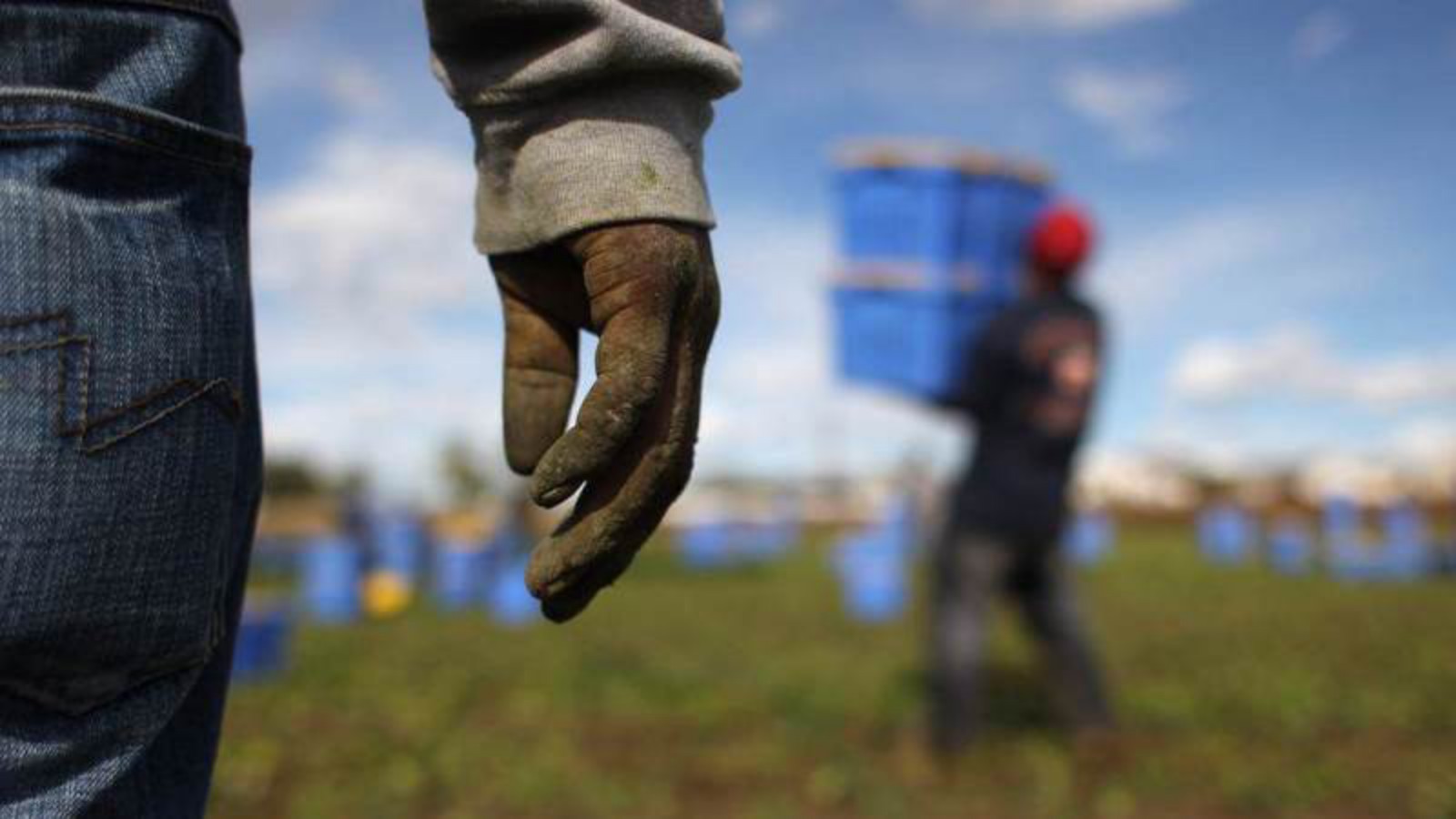 Al via l’avviso pubblico per l’accoglienza dei lavoratori migranti stagionali: 80 posti nella foresteria del Palachicoli