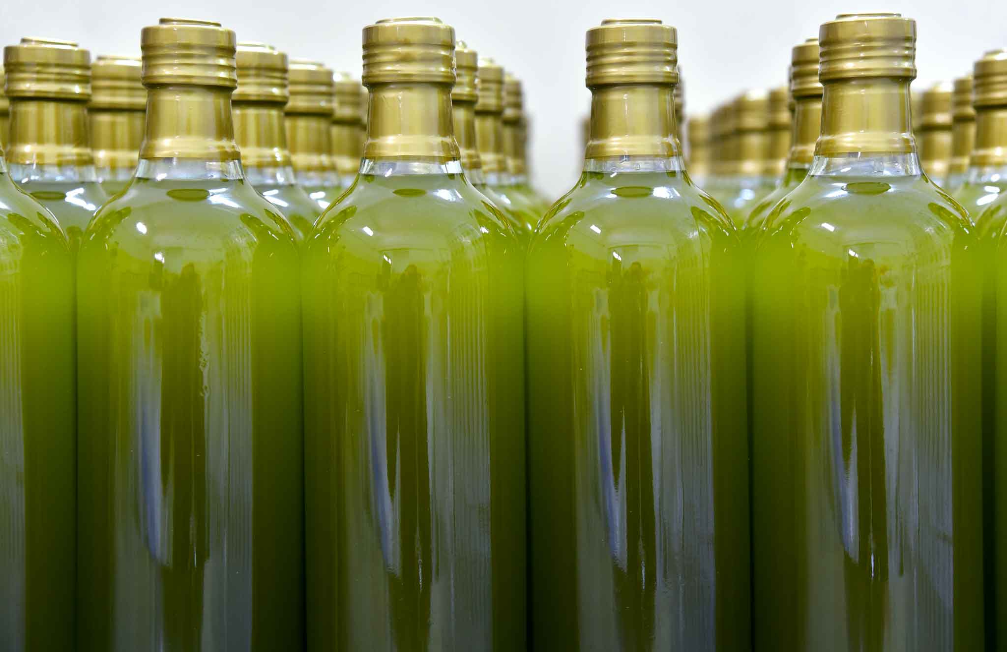 Lotta alle contraffazioni dell’olio Evo: «Attivare un sistema telematico di tracciabilità»
