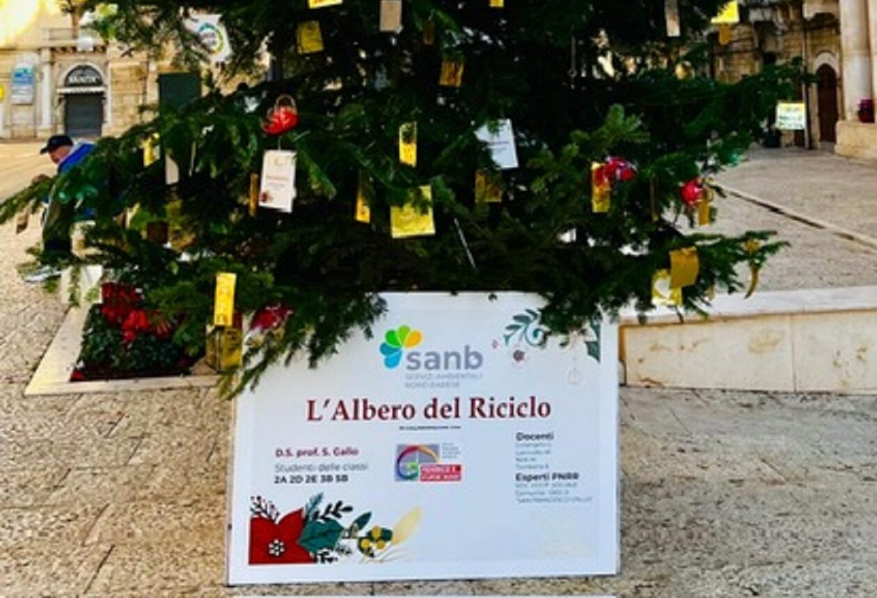 L’Albero del Riciclo di Sanb in piazza Cavour: un monumento anti spreco