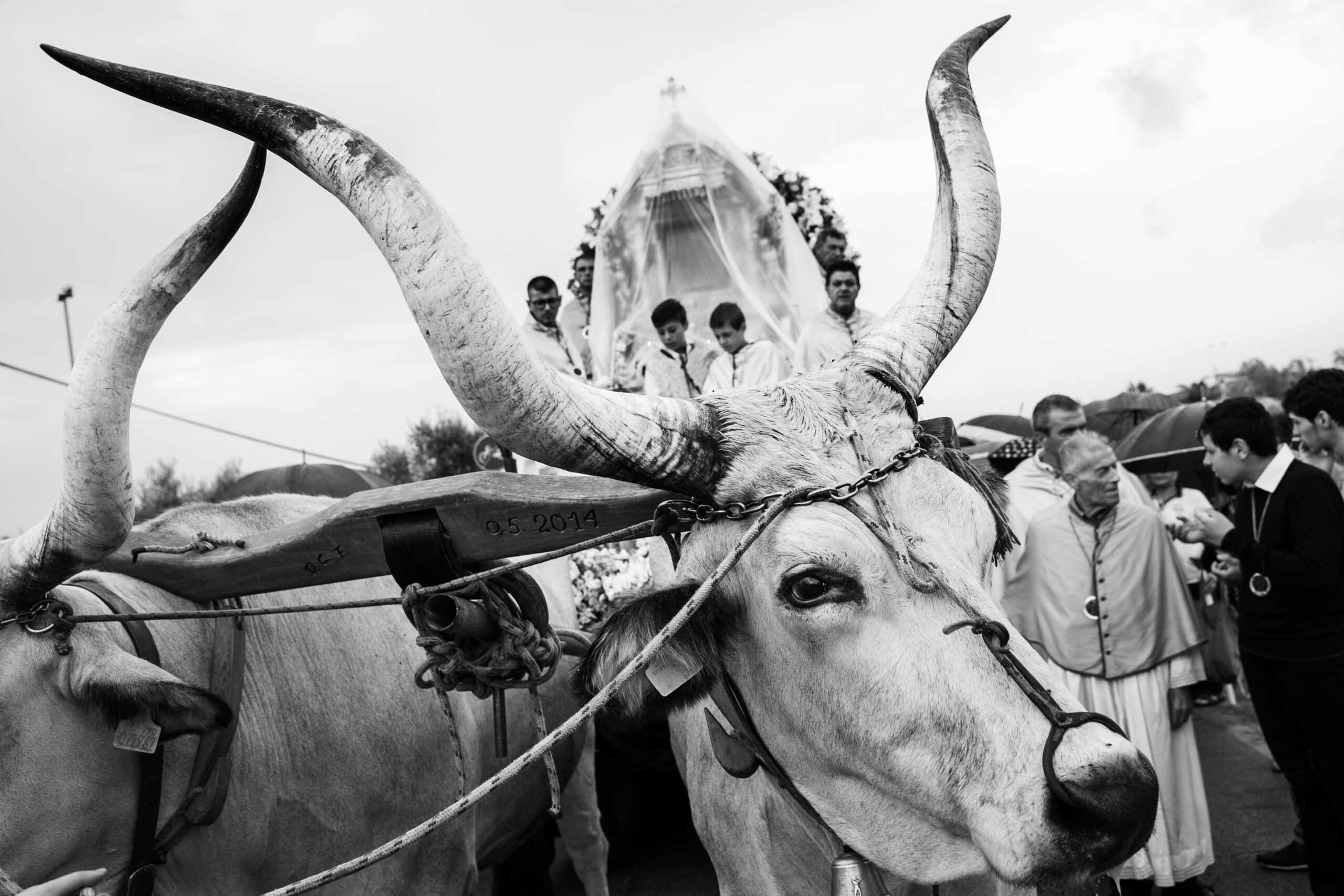 “In spem peregrinantes. Comunità in festa”. Le feste patronali della Diocesi in una mostra fotografica d’autore