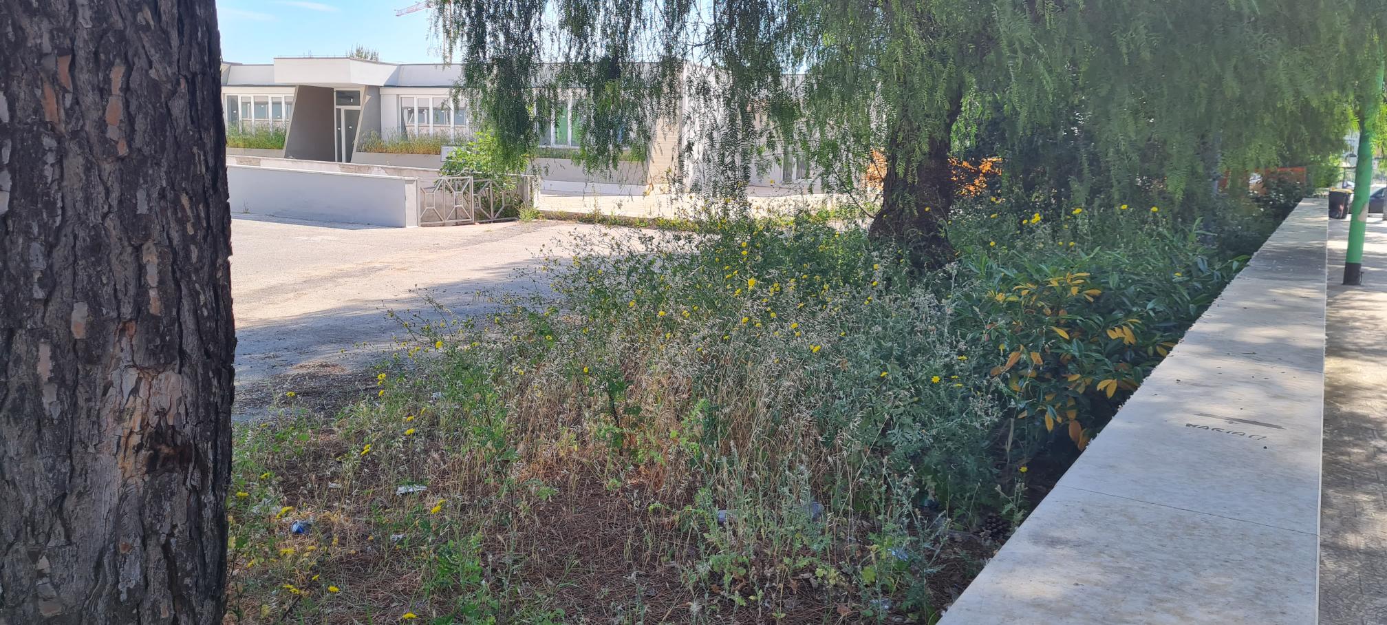 Udc: “Terlizzi, Città dei Fiori solo di nome. Il verde pubblico è nel degrado”