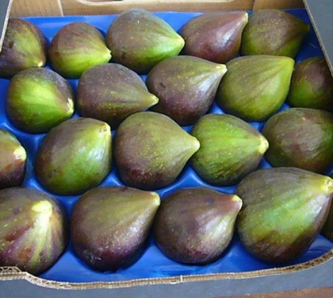 Disposta l’apertura straordinaria domenicale per il mercato ortofrutticolo all’ingrosso