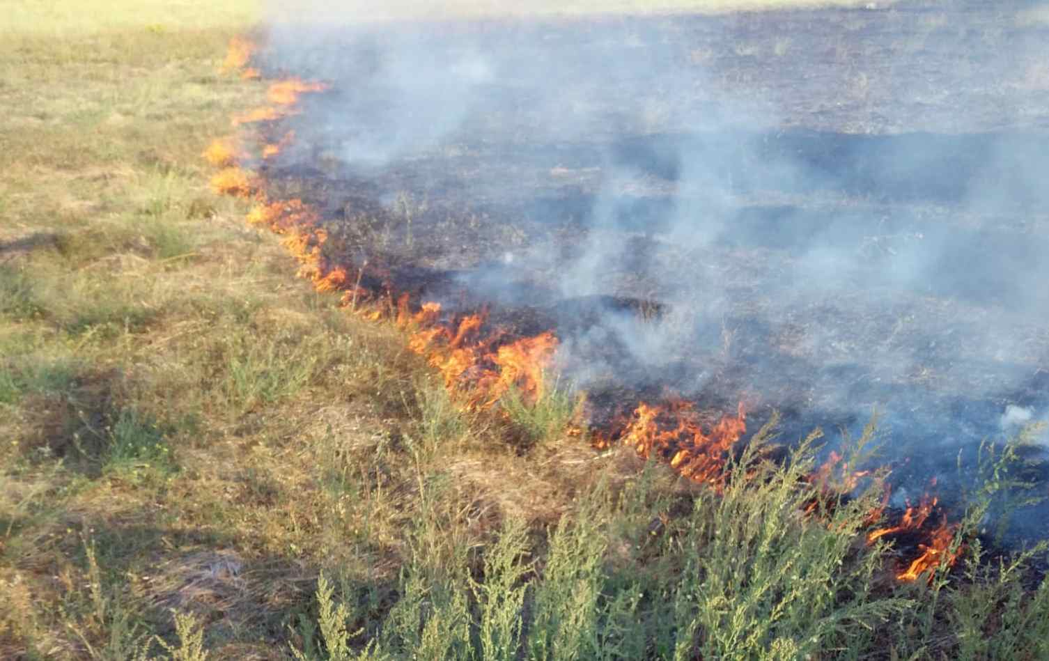 Misure urgenti antincendio: il sindaco firma un’ordinanza per un’estate sicura