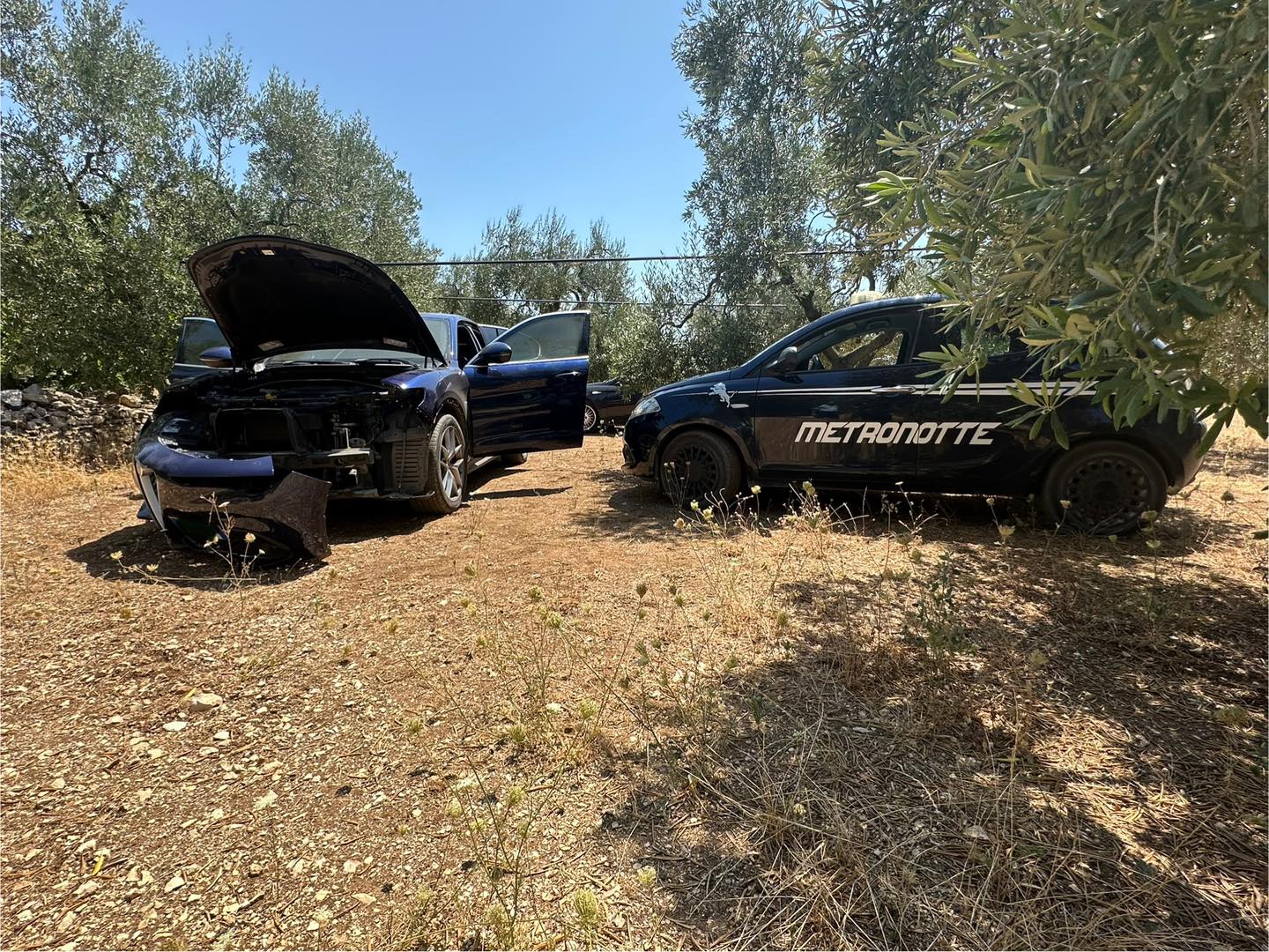Rubata e nascosta in un terreno: auto rinvenuta dalle guardie giurate