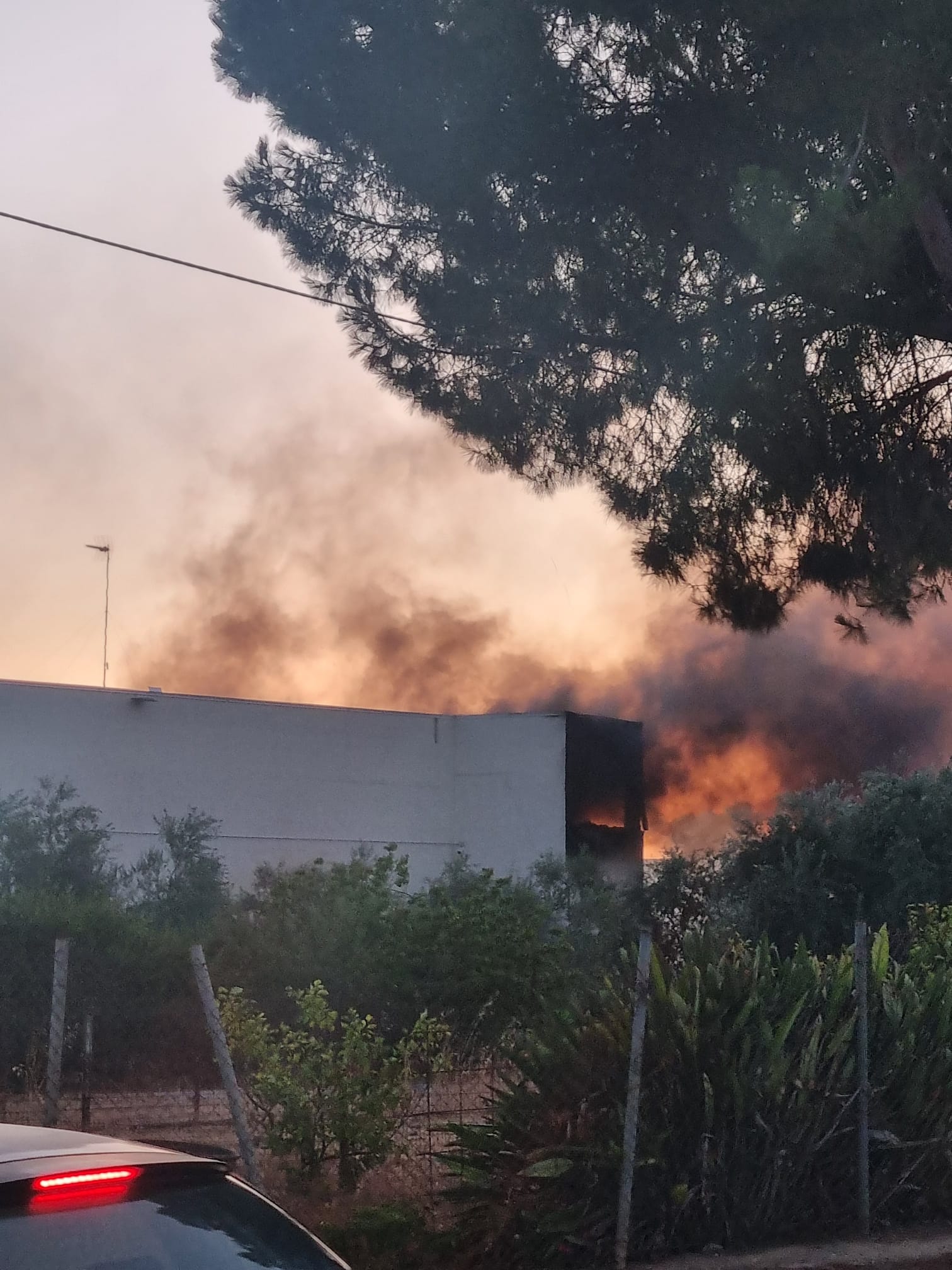 Incendio nella notte a Terlizzi, sospeso il mercato settimanale: “Decisione necessaria per tutelare la salute pubblica”