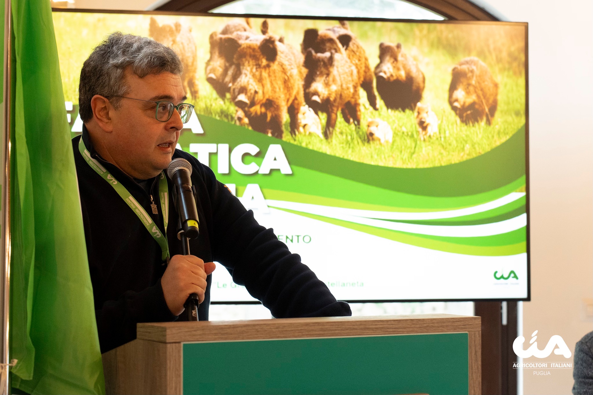 Carne di cinghiale, «presto via libera alla commercializzazione in Puglia»