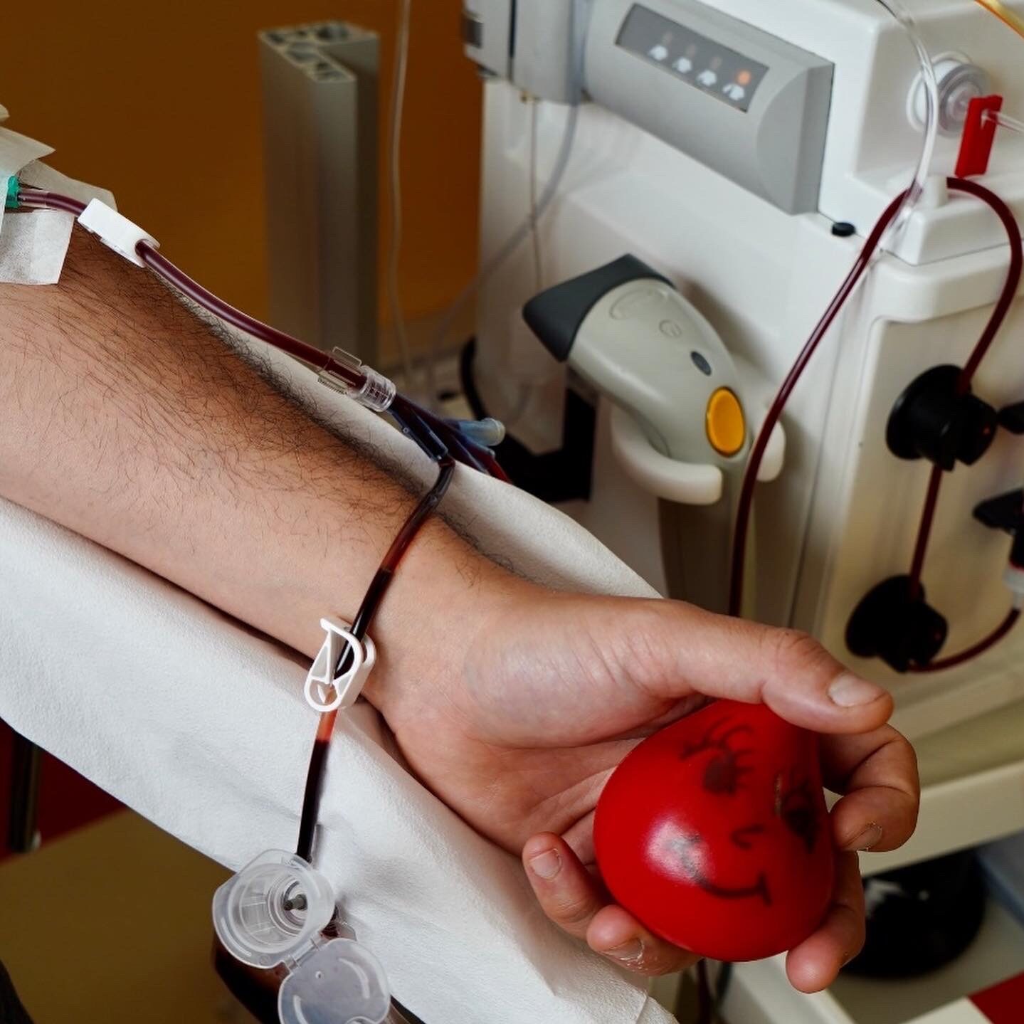 West Nile virus: «Le donazioni di sangue restano sicure»
